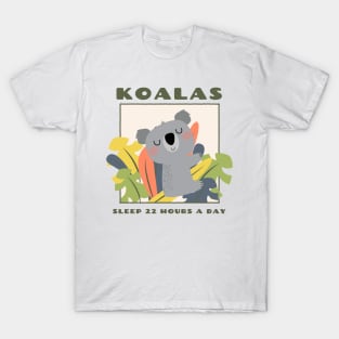 Koalas Sleep 22 Hours a Day Animal Facts T-Shirt